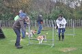 Afb_20131117_38542 uitsn